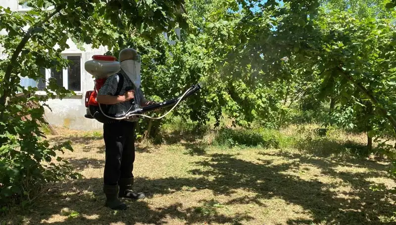 Kükürt ve Samuray Arısı: Çiftçinin Mücadelesinde Yeni Umutlar