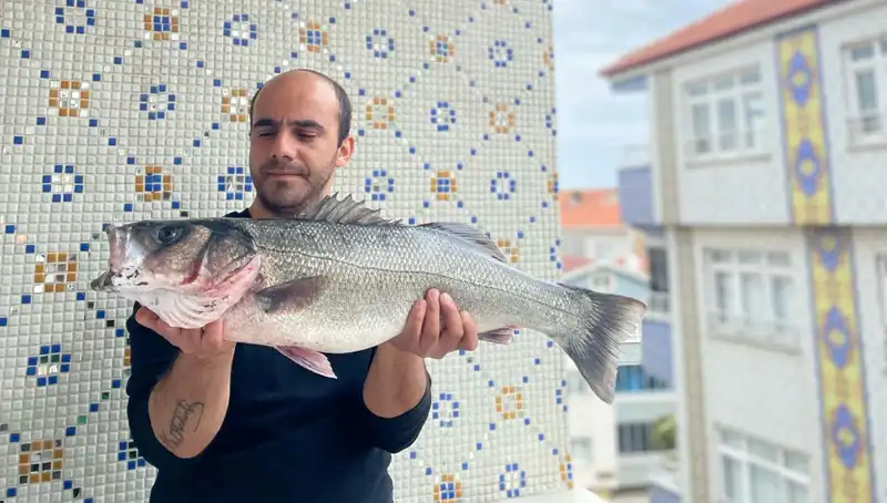 7,5 Kiloluk Dev Levrek Yakalandı: Balıkçıların Yeni Rekoru