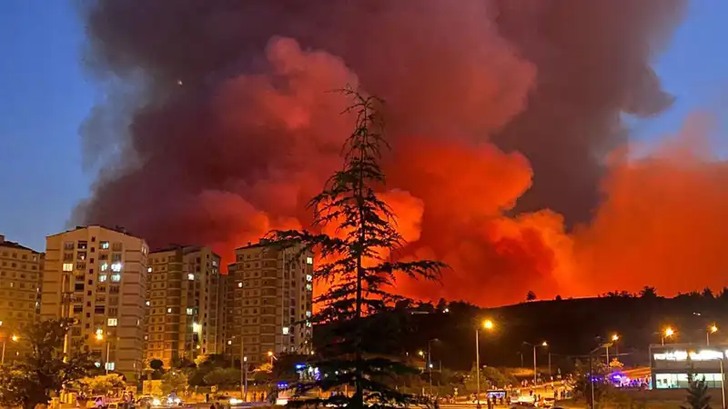 Bursa’nın Dört Bir Yanında Yangın Alarmı: Neler Oluyor?