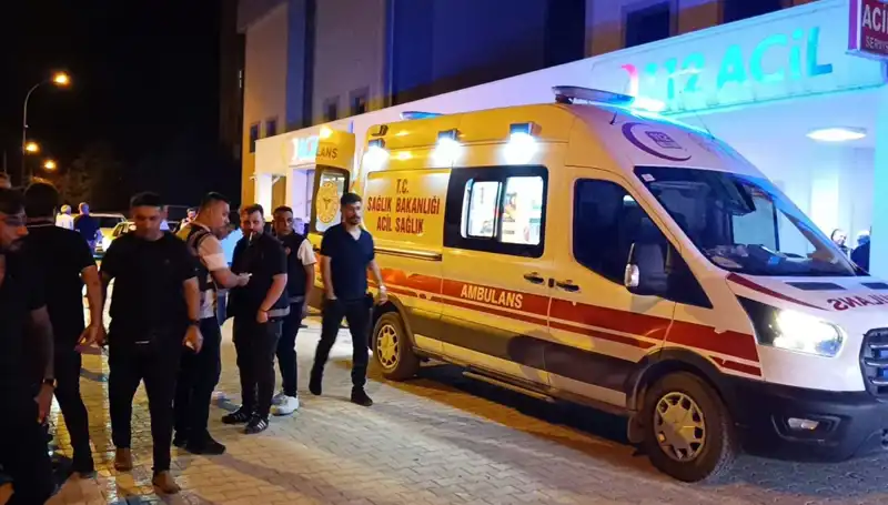Kardeşini Kurtarmak İsterken Sonu Gelen Dram: Kavga Korkunç Bir Şekilde Bitti
