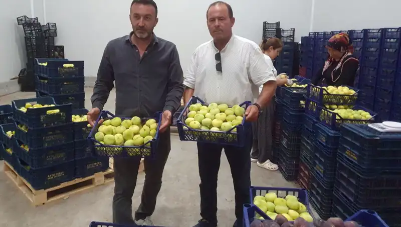 Mersinli Çiftçinin Yüzünü Güldüren İhraç: Tanesi 20 TL’den Başlayan Fiyatlarla
