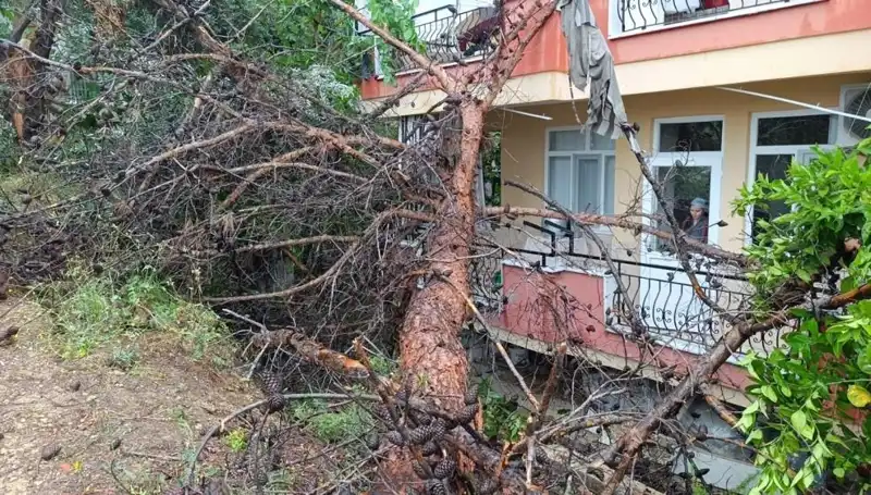 Yağmurun Etkisiyle Devrilen Bina: Çöküş Anına Tanıklık Edenler