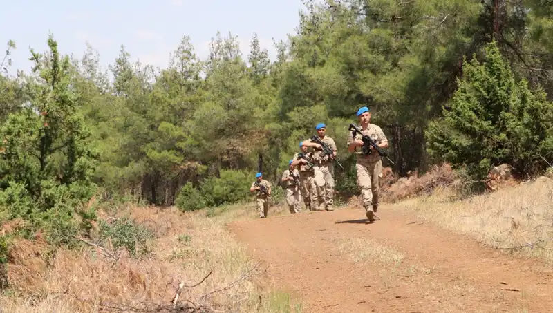 Kilis'te Orman Yangınlarına Karşı Mücadele: Denetimler Artık Çok Daha Etkili