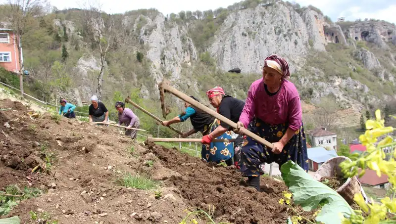 Zorlu Mesai Başlıyor: Sepetler ve Kazmalarla Gceliyorlar