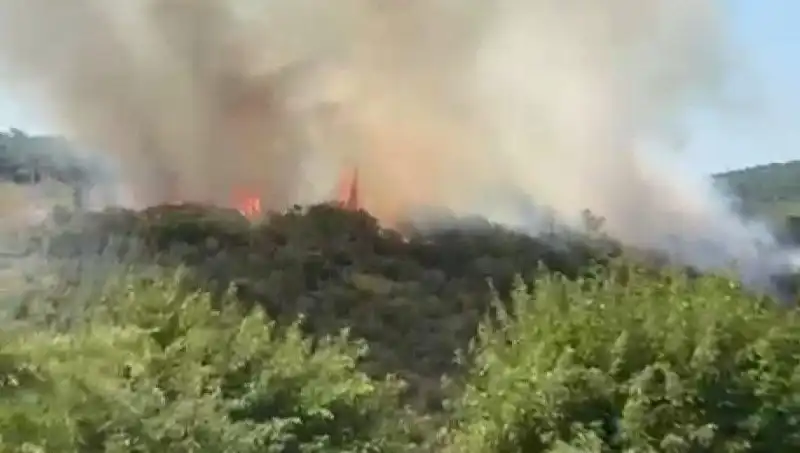 İstanbul'da Şok! Orman Yangını Nedeniyle Vatandaşlar Tahliye Edildi