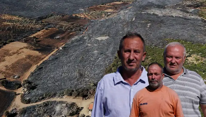 Çeşme'de Korkunç Yangın: Bir Mülkün Kaybı ve Derin Yaralar
