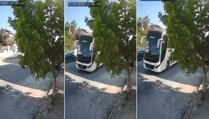 Yolda Yatan Köpeği Ezip Giden Araç, Hayvanseverleri Şoke Etti!