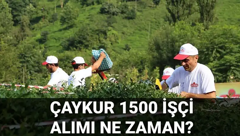 Çaykur İşçi Alımı Başvuruları İçin Tarih ve Detaylar Açıklandı