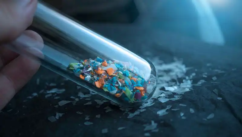 Mikroplastikler İnsan Beyninde Ne Kadar Tehlikeli? Etkileri Şaşırtıyor!