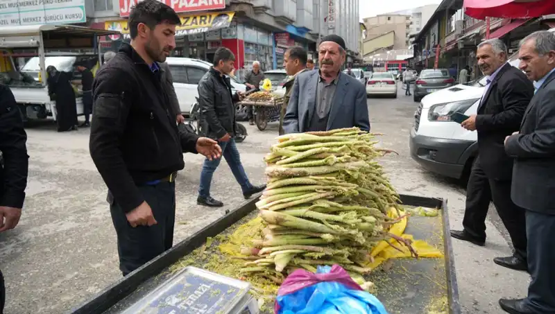 "Şekerin Şifa Kaynağı Olduğu İddia Ediliyor: Dağlık Alanlardan Toplanıyor"