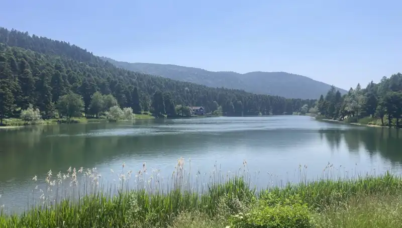 Bolu'nun Milli Parklarında Ziyaretçi Patırtısı: İnsanlar Doğayla Buluşuyor