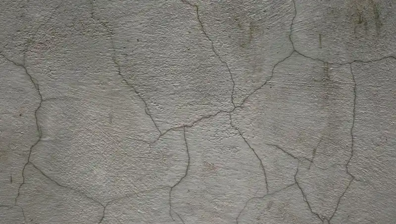 Canlı Beton: Çatlakları Kendi Kendine Onaran Yenilikçi Malzeme