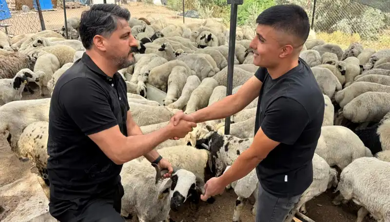 Kurbanlık Koyun Alırken Dikkat Edilmesi Gereken Tuz ve Sumak Uyarısı