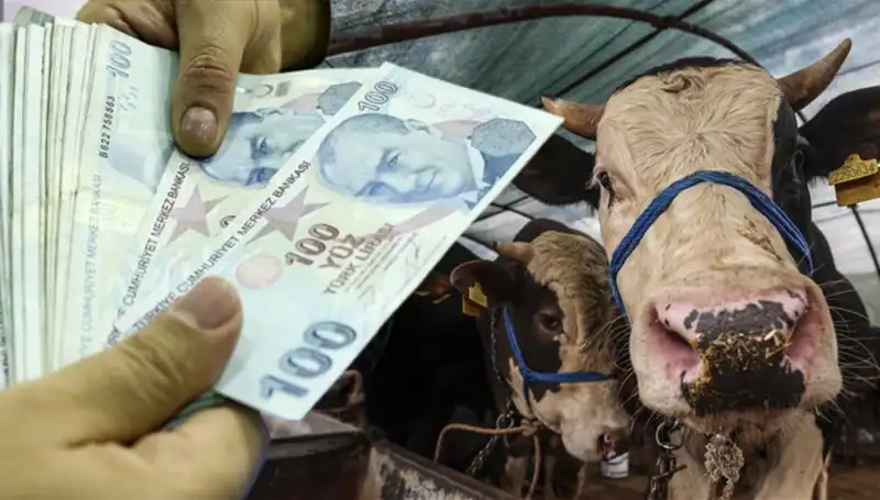 Bayram Öncesi Memur ve Emekli Maaşlarının Erken Ödenip Ödenmeyeceği Açıklandı!