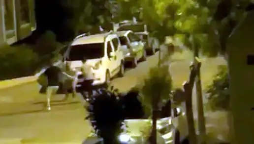 Avcılar'da Vatandaşa Saldıran 3 Kişiye Cesur Müdahale!