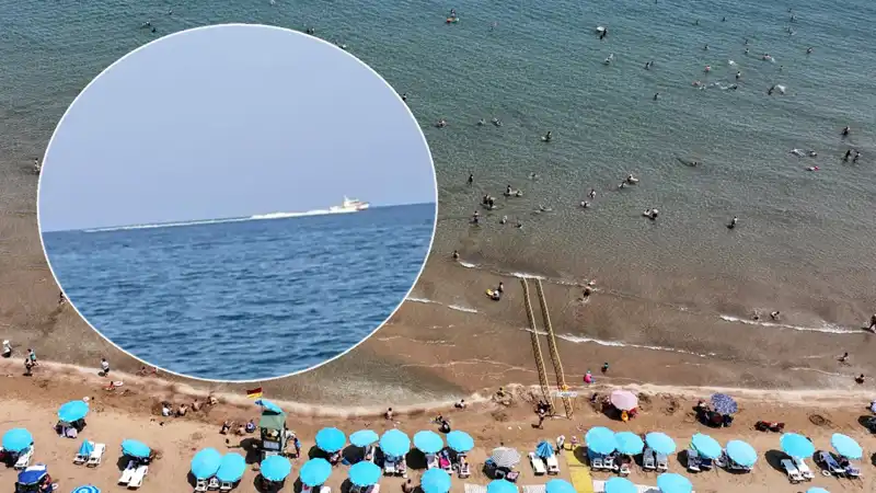 Plajda Köpek Balığı Korkusu: Sahil Güvenliği Harekete Geçti, Gerçek Farklı Çıktı