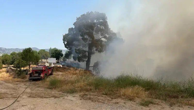 Muğla’da Korkutan Orman Yangını: Yangın Söndürme Mücadeleleri Devam Ediyor