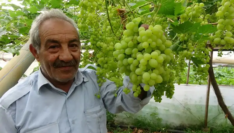 Zirai Donun Meyve Fiyatlarına Etkisi: İlk Ürünler Uçuk Fiyattan Satılıyor!