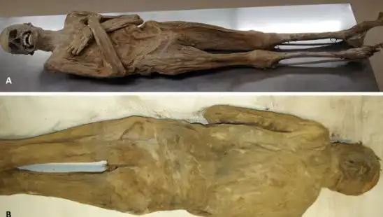 Kurutulmuş Papazın Mumyası İle İlgili Şok Eden Gerçekler Açığa Çıktı