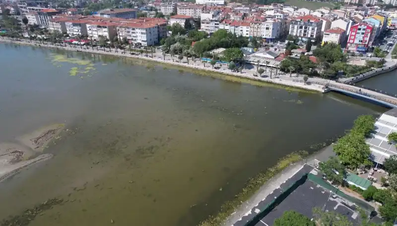 Marmara Denizi’nde Tehlikeli Değişim: Uzmanlar Uyarıyor