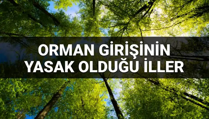 2025'te Orman Girişine Yasaklanan İller: İhtiyacınız Olan Tüm Bilgiler