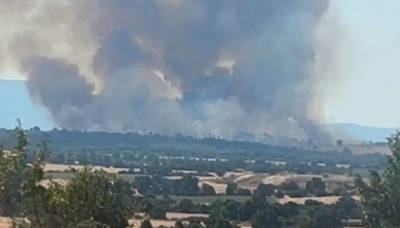 Komşudaki Orman Yangını Edirne’yi Esaret Altına Alıyor: Sağlık ve Güvenlik Açısından Riskler