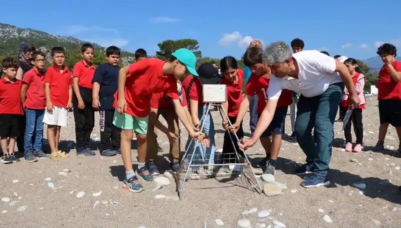 Kemer'de Caretta Caretta Koruma Yasakları Başladı: Denizdeki Hayat Tehdit Altında!