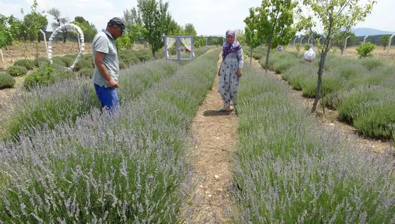 Hobi Olarak Başladıkları İş, Ailelerinin Geçim Kaynağı Haline Geldi