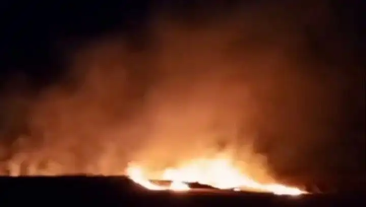 Tekirdağ'da 20 Dekar Buğday Tarlasını Kül Eden Yangının Detayları