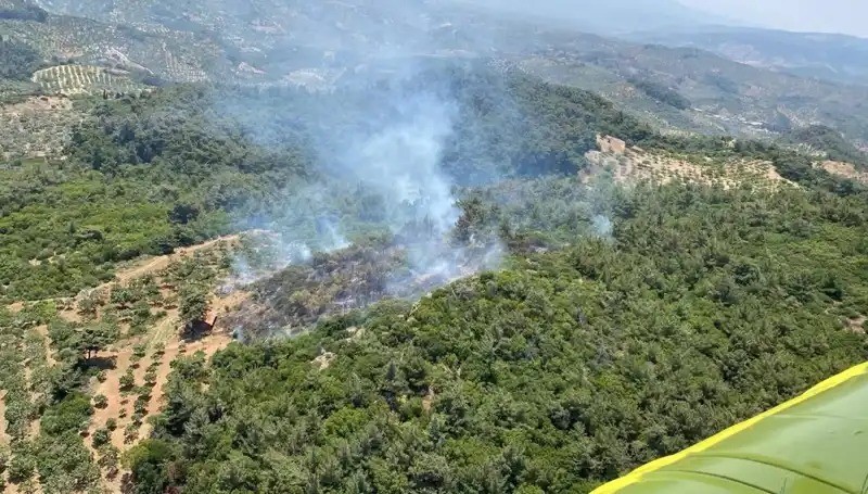 Aydın'da Büyüyen Orman Yangını: Hızla Yayılıyor, Müdahale Bekliyor