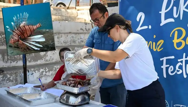 Antalya’da Dev İstilacı Aslan Balığı Avlama Yarışması Başlıyor!