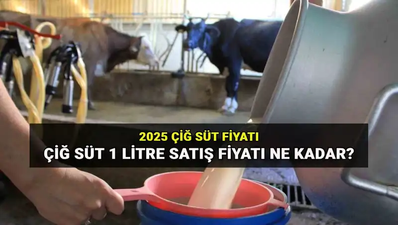 2025'te Çiğ Süt Fiyatları: Ulusal Süt Konseyi'nin Raporu Ortaya Çıkardı!