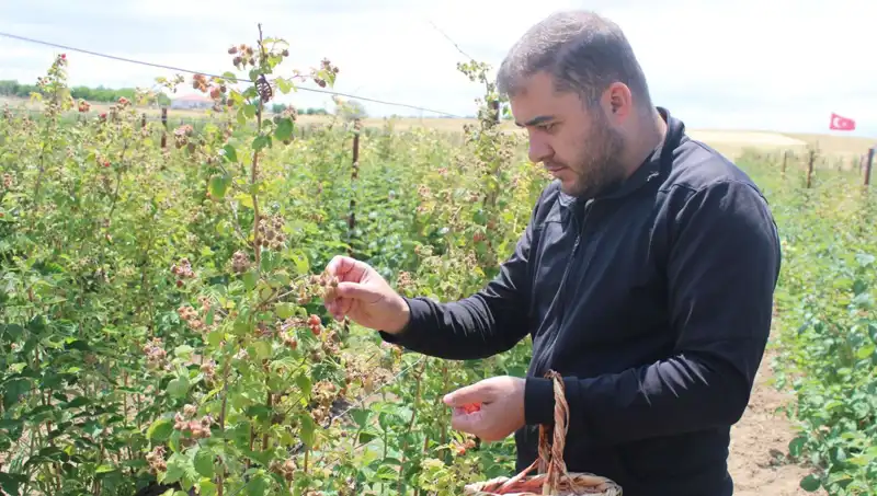 Hobi Olarak Başladı, Şimdi Talebe Yetebilmek İçin Yarışıyor