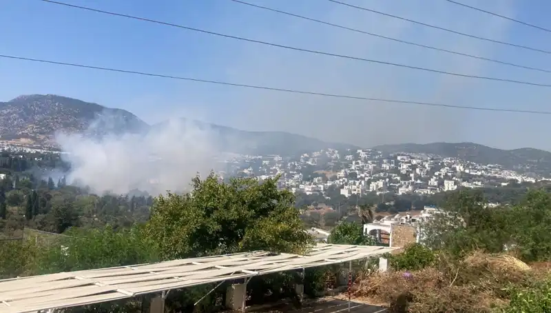 Muğla'daki Orman Yangınları Kontrol Altına Alındı: Hayvanlar ve Doğa Kurtuluyor