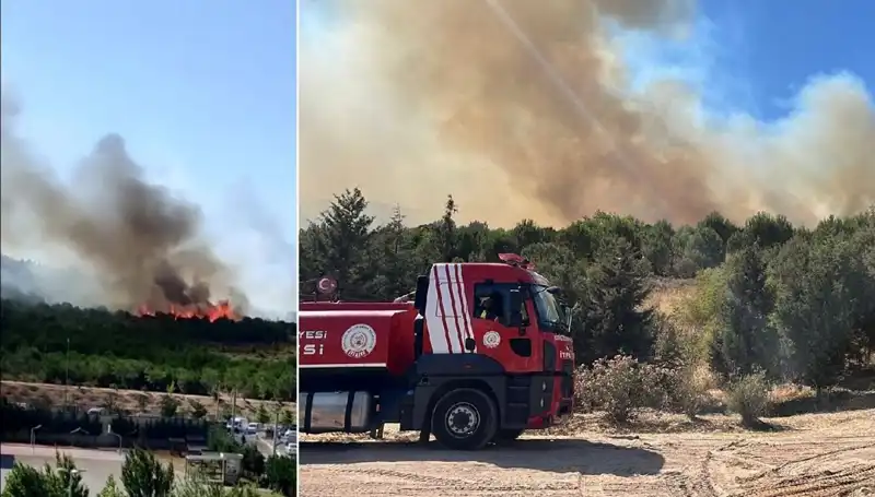 Gebze’deki Orman Yangını: Ekipler Seferber Oldu, Alanlar Zarar Gördü